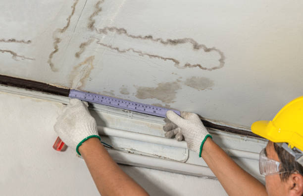 Reliable Water Damage Repair contractor in Clayton, NM by Aqua Guard Water Damage